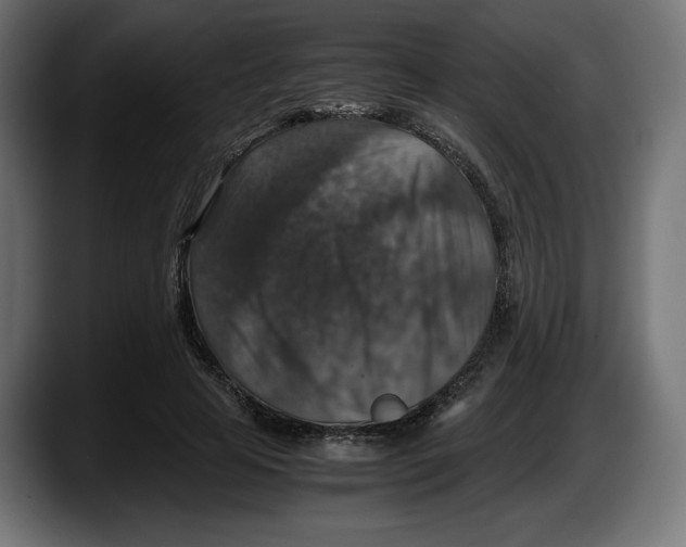 X0000087520641200705251640