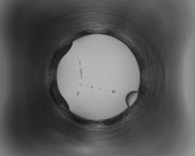 X0000087520642200705251640