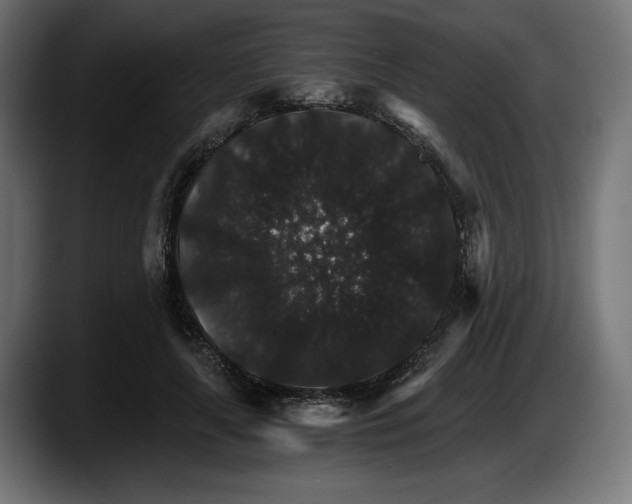 X0000087520643200705251640