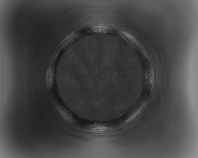 X0000087520648200705251640