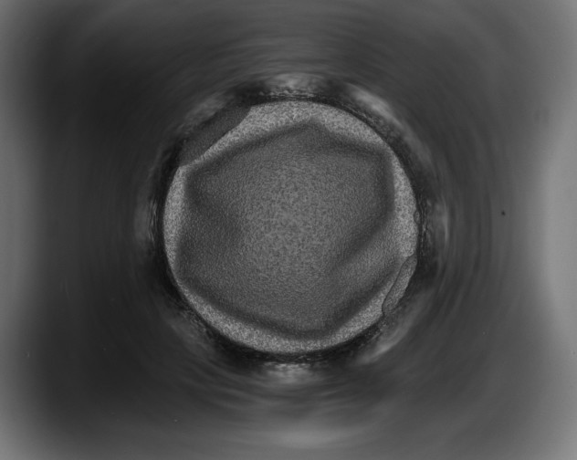 X0000087520649200705251640