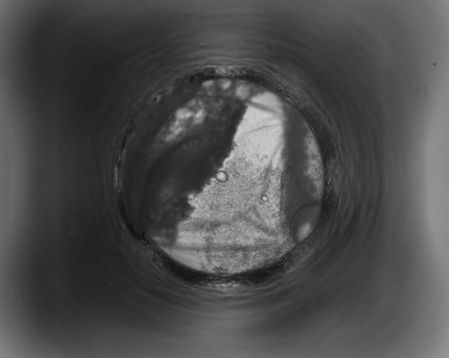 X0000087520650200705251640