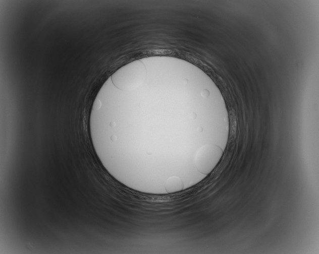 X0000087520651200705251640