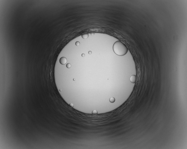 X0000087520653200705251640