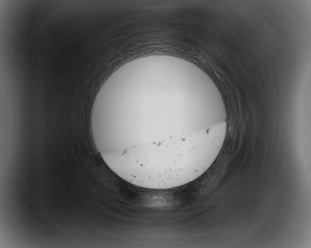 X0000087520655200705251640