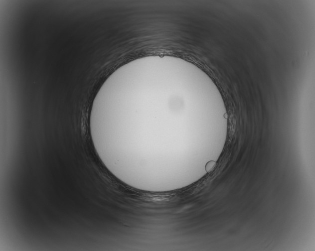 X0000087520658200705251640