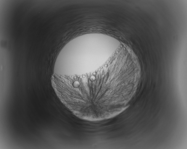 X0000087520659200705251640