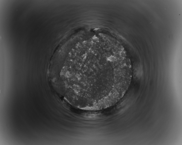 X0000087520661200705251640