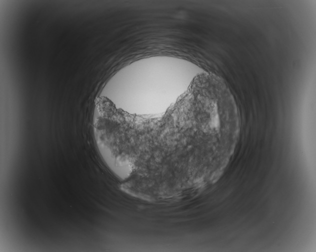 X0000087520663200705251640