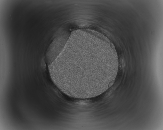 X0000087520664200705251640