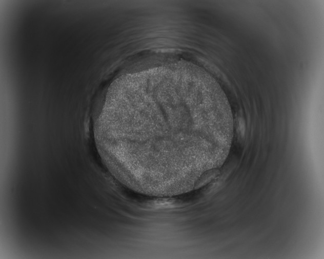 X0000087520668200705251640