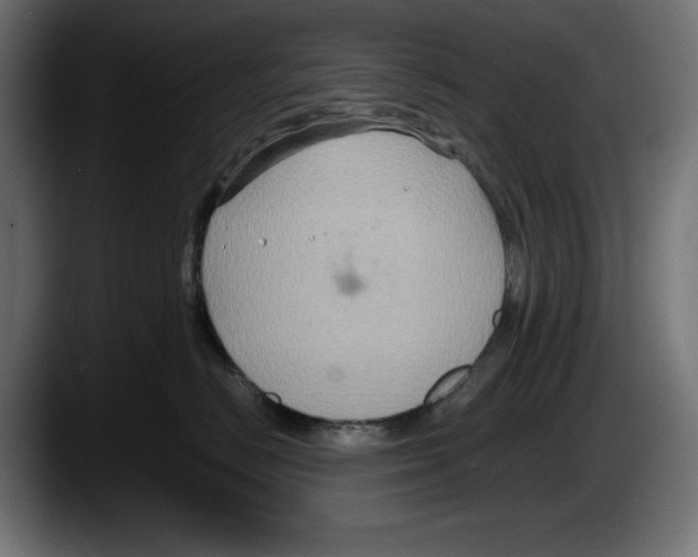 X0000087520670200705251640