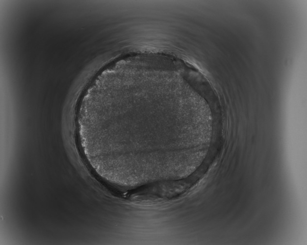 X0000087520673200705251640