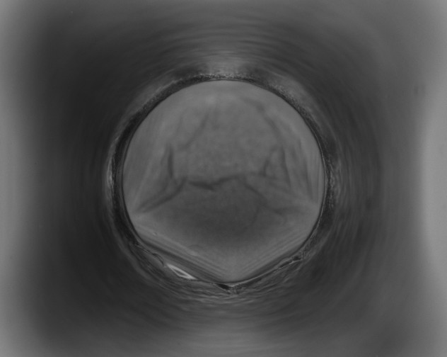 X0000087520674200705251640