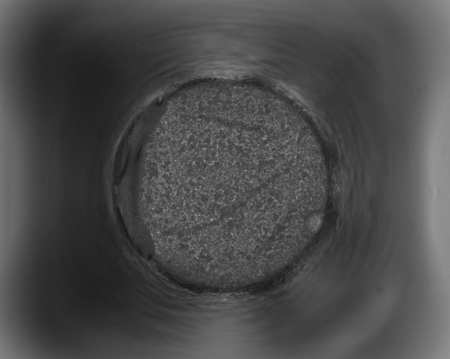 X0000087520679200705251640