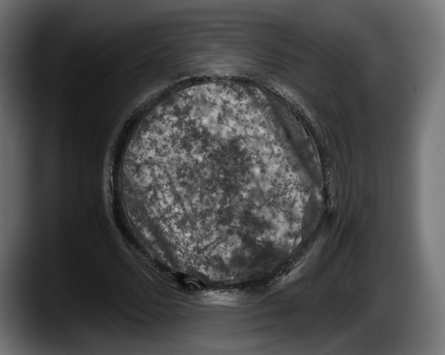 X0000087520680200705251640