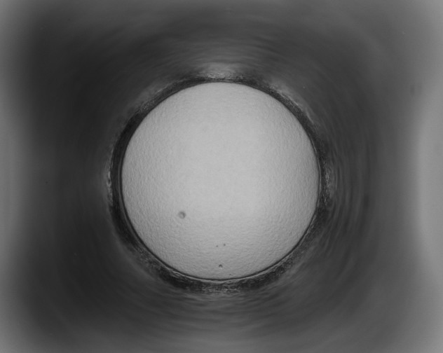 X0000087520682200705251640