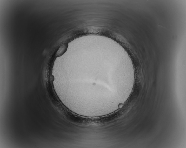 X0000087520683200705251640