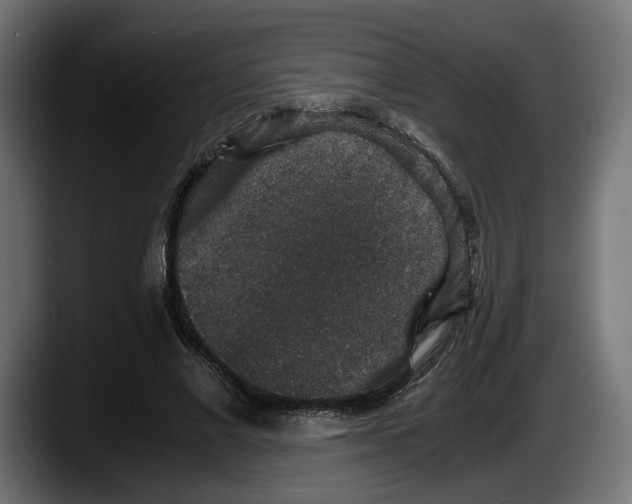 X0000087520685200705251640