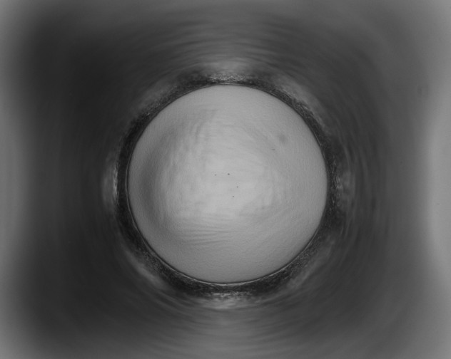 X0000087520686200705251640