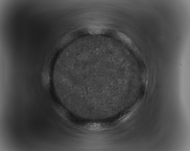 X0000087520687200705251640