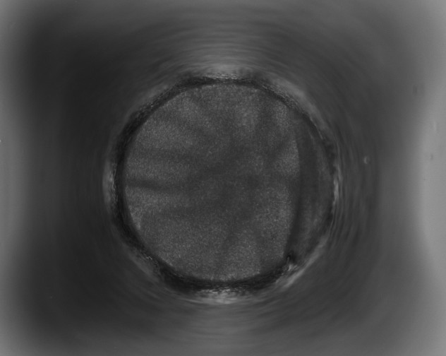 X0000087520688200705251640