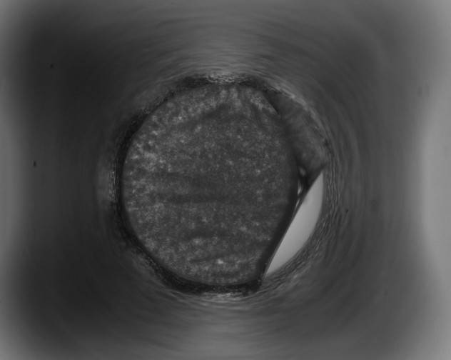 X0000087520689200705251640