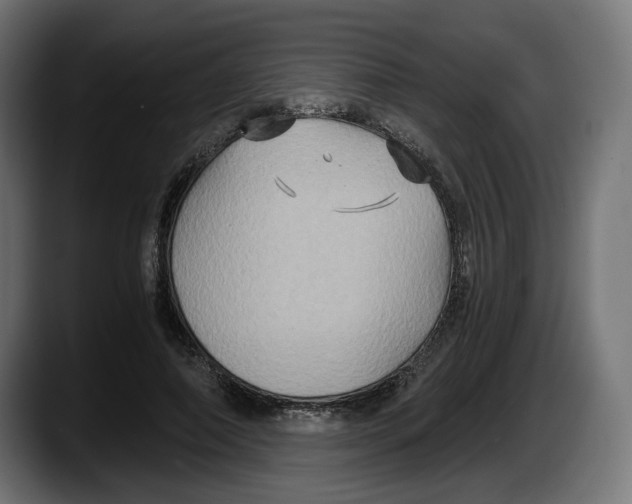 X0000087520690200705251639