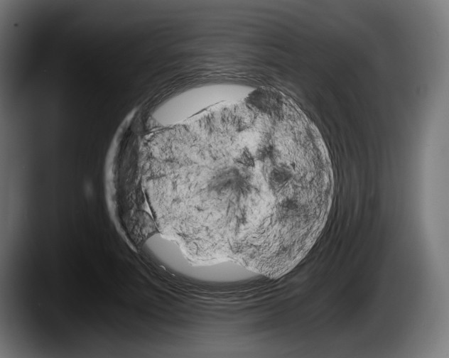 X0000087520691200705251639