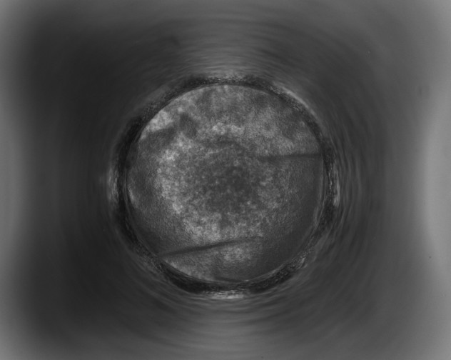 X0000087520692200705251639