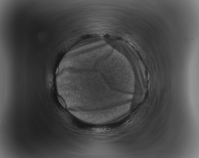 X0000087520693200705251639