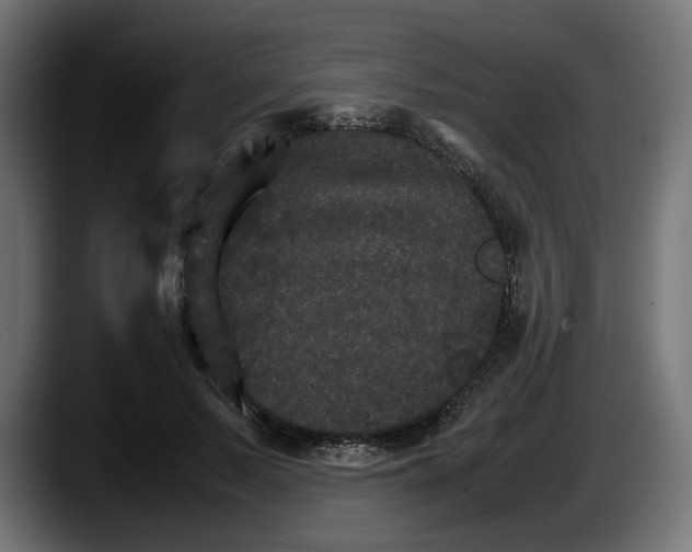 X0000087520695200705251639