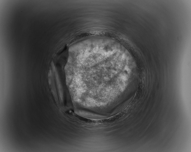 X0000087520696200705251639