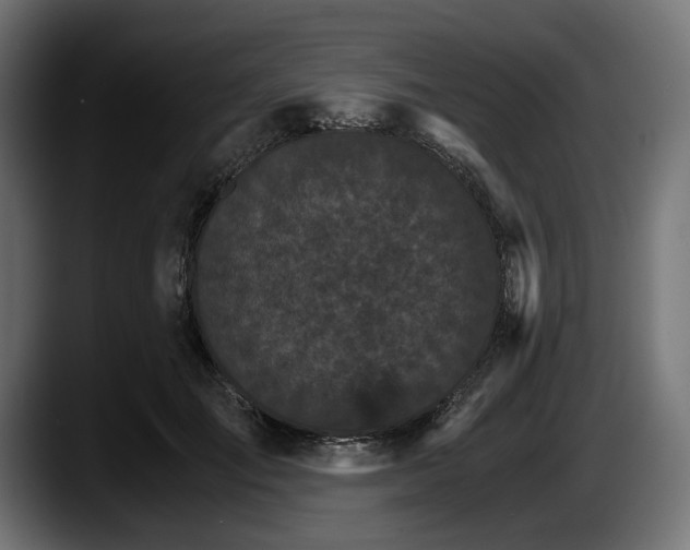 X0000087520701200705251639