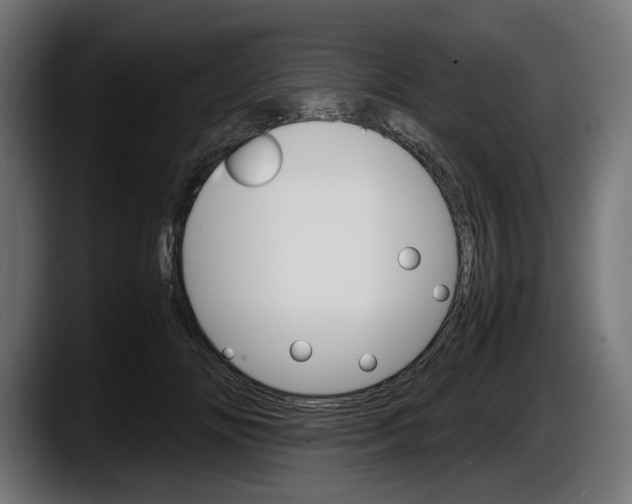 X0000087520702200705251639