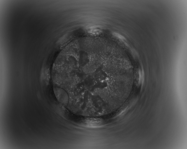 X0000087520707200705251639