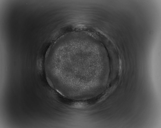 X0000087520708200705251639