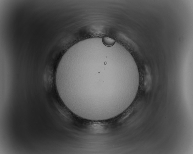 X0000087520710200705251639