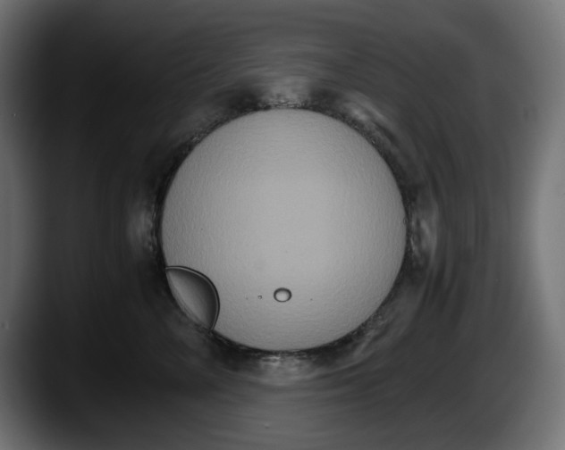 X0000087520714200705251639