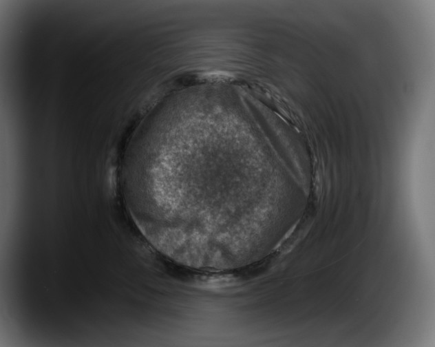 X0000087520716200705251639