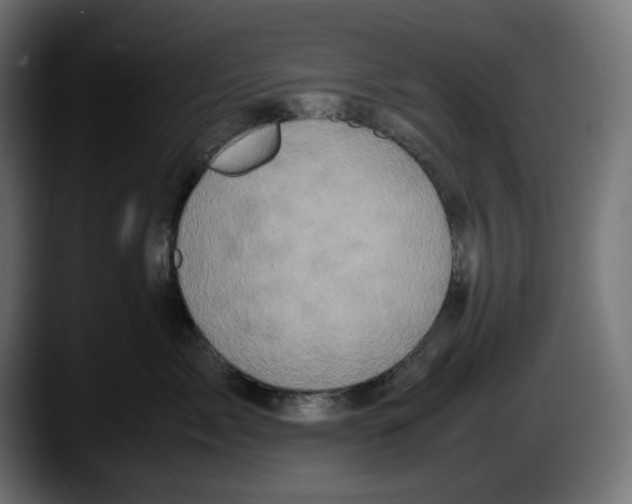 X0000087520717200705251639