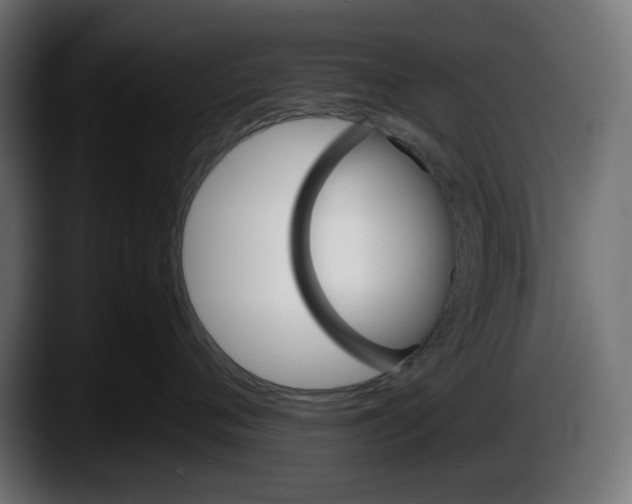 X0000087520720200705251639