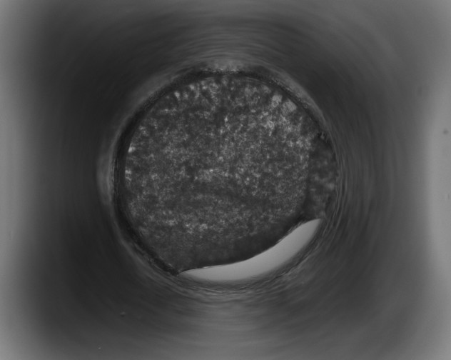 X0000087520722200705251638