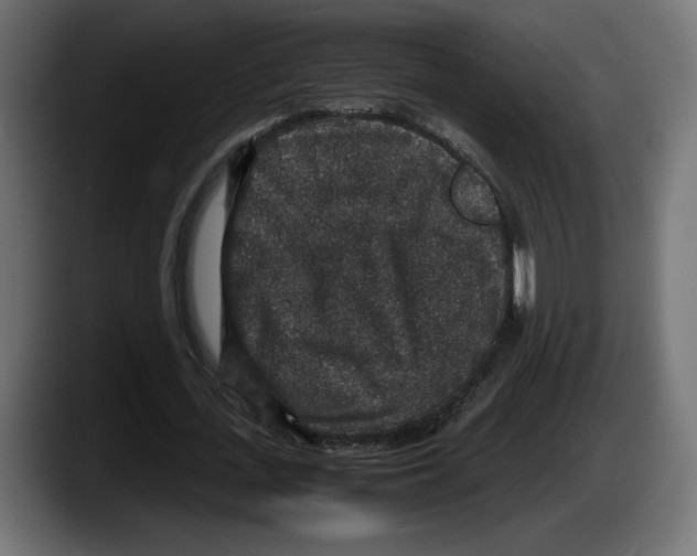 X0000087520723200705251639