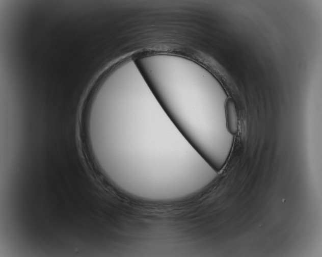 X0000087520724200705251639