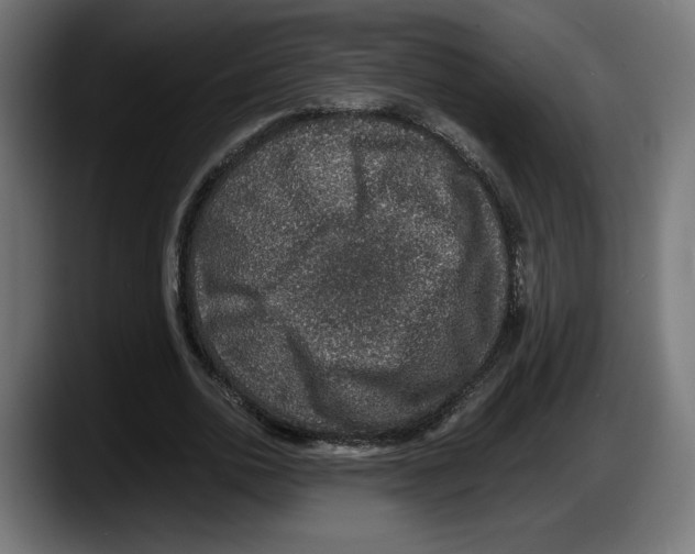 X0000087520726200705251639