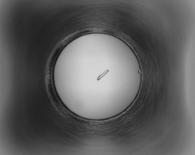 X0000087520728200705251639