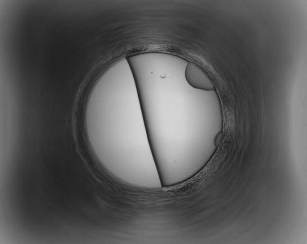 X0000087520736200705251639