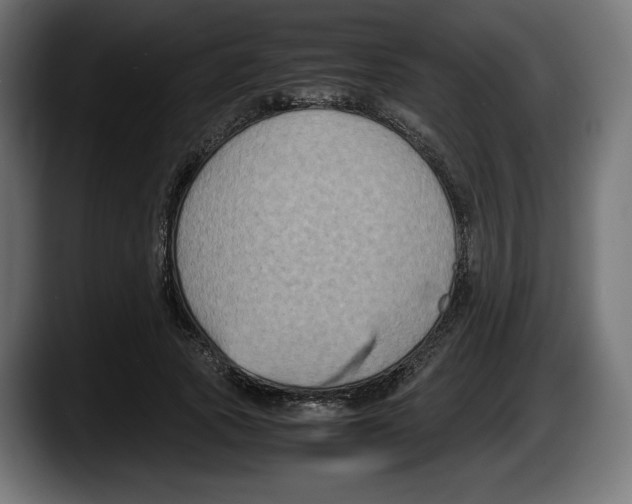 X0000087520737200705251639