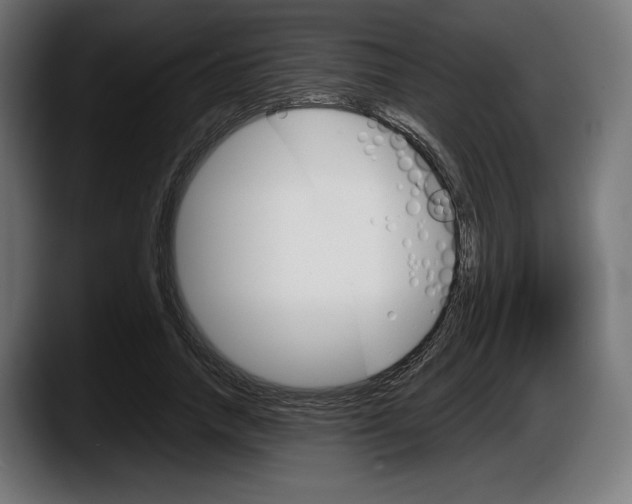 X0000087520738200705251639